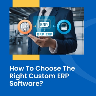 custom ERP custom ERP