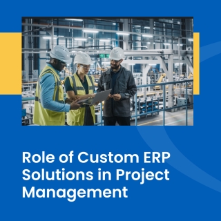 Custom ERP for project management Custom ERP for project management