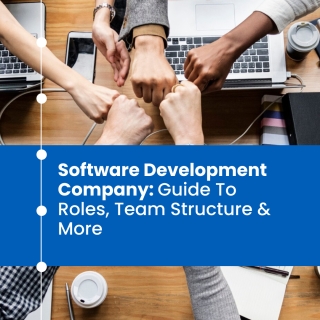 Software Development Company: Guide To Roles, Team Structure & More Software Development Company: Guide To Roles, Team Structure & More