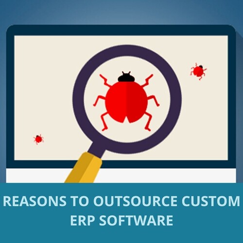 4 Challenges of Developing In-House Custom ERP Software