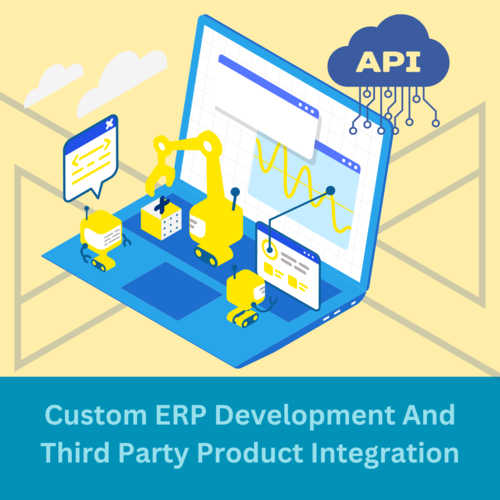 Custom ERP Development And Third Party Product Integration