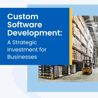 Custom Software Development: A Strategic Investment for Businesses