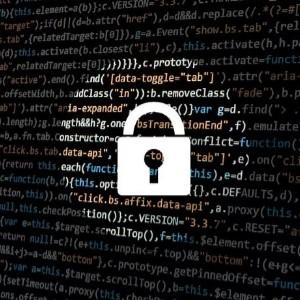 The Importance of Security to a Software Development Company