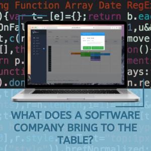 What Does a Software Company Bring to the Table?