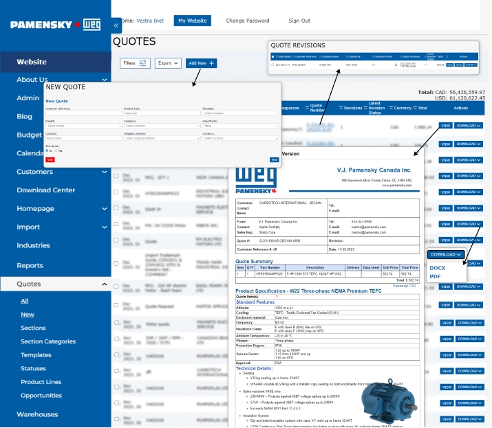 Vestra Inet's Client-Centric Approach to Software Solutions